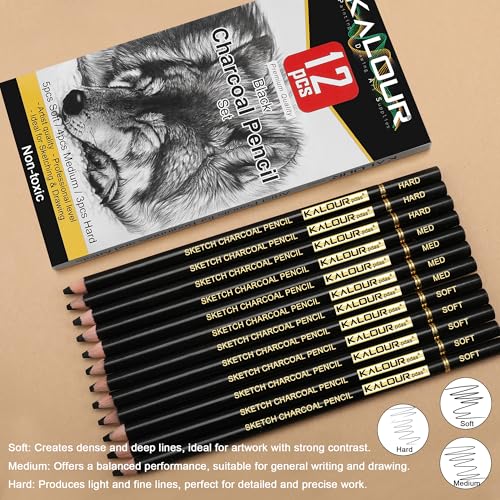 KALOUR Professional Charcoal Pencils Drawing Set -12 Pieces Soft, Medium and Hard Charcoal Pencils for Drawing, Sketching, Shading, Artist Pencils for Beginners & Artists - style: 12 Black Charcoal Pencils