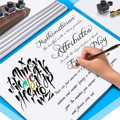 Calligraphy Pen Set – Includes Wooden Dip Pen, Antique Brass Holder, 11 Nibs, 4 Colors Ink Bottles and Beginner's Manual-for Beginners and Calligraphy Lovers - color: Red