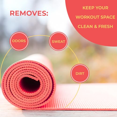 SwaytAway Fitness Mat Mist with Towel, 4oz Travel Size, 2 Pack, Citrus - size: 2 Count (Pack of 1)