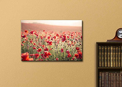 Canvas Prints Wall Art - Beautiful Landscape Image of Summer Poppy Field Under Stuning Sunset Sky with Cross Processed Retro Effect - 12" x 18" - color: Ballerina Feet, size: 18"L x 12"W