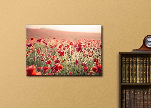 Canvas Prints Wall Art - Beautiful Landscape Image of Summer Poppy Field Under Stuning Sunset Sky with Cross Processed Retro Effect - 12" x 18" - color: Ballerina Feet, size: 18"L x 12"W