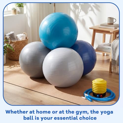 Leyndo 4 Pcs 26 Inch Yoga Exercise Ball Pilates - color: Blue Gray Set
