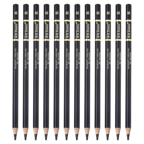 PATIKIL 12Pcs Drawing Pencils for Sketching, Soft Refill Sketch Pencils for Drawing, Graphite Art Pencil Set Professional Resistant Lead for Painting Shading Artist Office Supplies - size: Soft