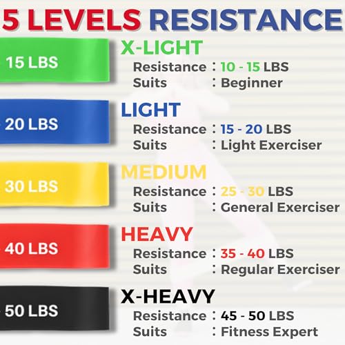 LEZER Resistance Loop Bands for Exercise Workout, Elastic Band, Stretch, Home Gym Fitness, Strength Training, Physical Therapy, Yoga, Women, Men, with Instruction and Carry Bag, Set of 5