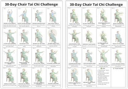 Tai Chi Chair Workout Chart for Seniors, Seated Tai Chi Exercise Poster with 30-Day Routine, Balance & Mobility Home Fitness Guide, 12x16 Inch Canvas Wall Art, 2 Pack (woman) - color: woman