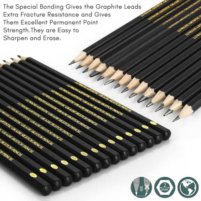 Luwans Drawing Pencils Set of 14 (B - 12B) Sketch Pencils for Drawing - Art Pencils for Shading, Sketching & Doodling | Professional Graphite Pencil for Artists & Beginners