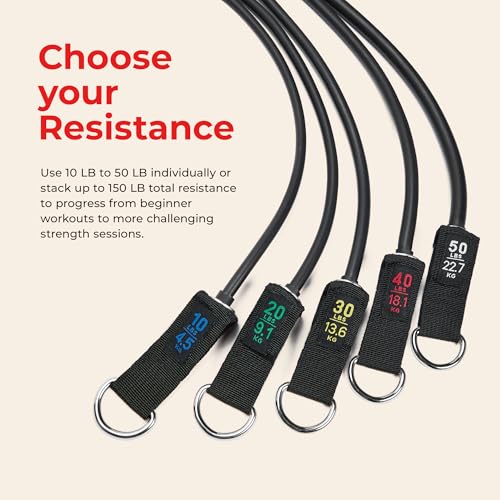 Sunny Health & Fitness Resistance Band Set/Ankle Strap for Home Gym - style: NO. 089-COMBO