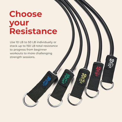 Sunny Health & Fitness Resistance Band Set/Ankle Strap for Home Gym - style: NO. 089-COMBO