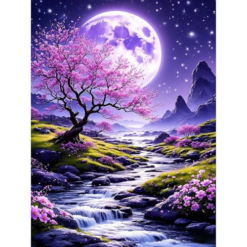PRASIO Diamond Art Kits for Adults Beginner, Moonlight Landscape 5D Diamond Painting Kits for Adults, DIY Round Full Drill Gem Art Painting and Crafts for Gift Home Wall Decor 12x16 Inch - color: XM-DP-MoonNight-3040