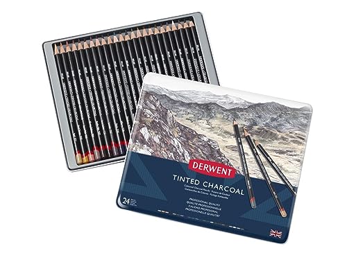 Tinted Charcoal 24 Tin - size: 1 Count (Pack of 24)