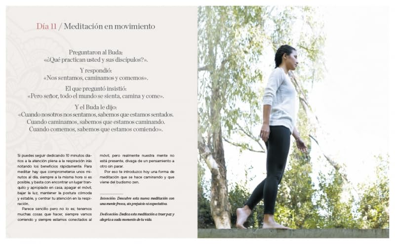Mi diario de yoga. Cuerpo y mente sanos en 4 semanas (Edición revisada y actualizada / My Yoga Diary (Spanish Edition)