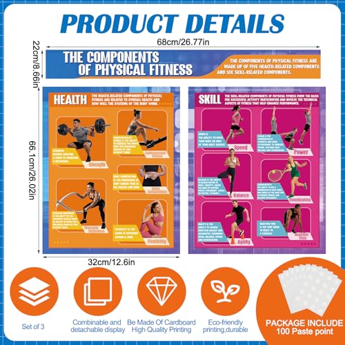 Tinlade Physical Fitness Classroom Poster Set Extra Large 34.5” x 26.5” - style: Physical Training