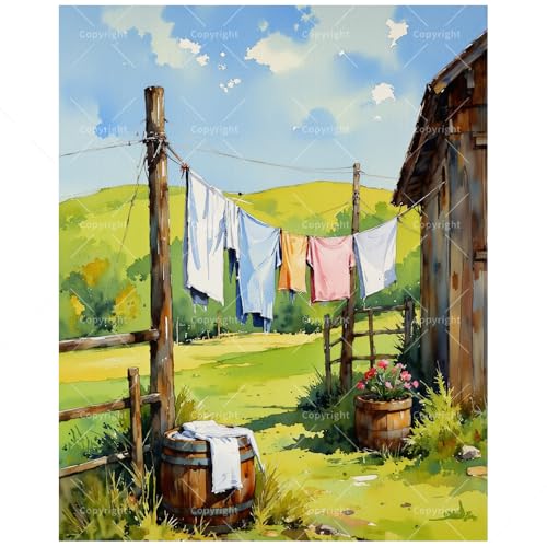 Country Life Paint by Numbers Kit for Adults - DIY Laundry on Clothesline Farm Scene Painting on Canvas 8x12In, Framed Acrylic Paint Set, Suitable for Beginners, Art for Home Decoration or Gifts - color: FM06053, size: 8×12in Framed
