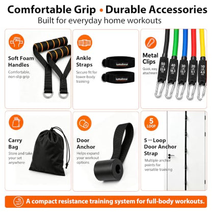 Resistance Bands Set with Handles and Door Anchor for Full Body Workout