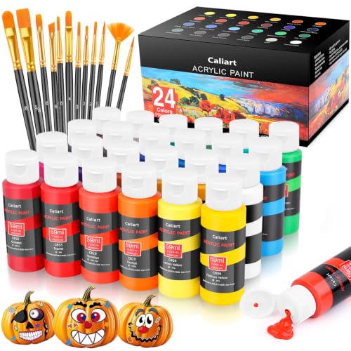 Caliart 24 Colors Acrylic Paint Set with 12 Brushes | Craft Painting kit for Adults Artists Beginners, Halloween Pumpkin Canvas Wood Rock Ceramic Fabric Art Supplies Paints - color: Regular, size: 2 Fl Oz (Pack of 24)