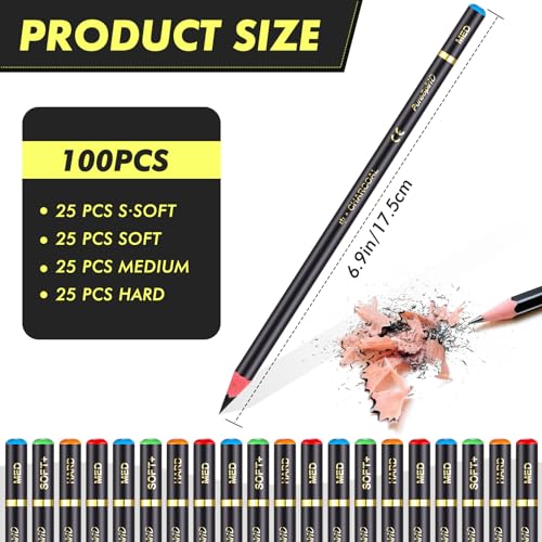 Resurhang 100 Pcs Charcoal Pencils Drawing Set, Charcoal Pencils bulk for Drawing Sketching Shading Blending Portrait Beginners and Artists(Black,Super Soft, Soft, Medium and Hard) - color: Black, style: Super Soft, Soft, Medium and Hard