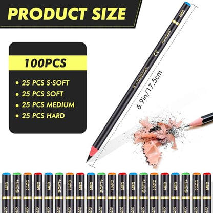 Resurhang 100 Pcs Charcoal Pencils Drawing Set, Charcoal Pencils bulk for Drawing Sketching Shading Blending Portrait Beginners and Artists(Black,Super Soft, Soft, Medium and Hard) - color: Black, style: Super Soft, Soft, Medium and Hard