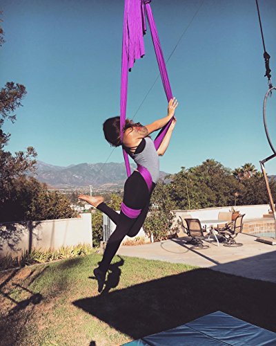 F.Life Aerial Silk Yoga Hammock & Swing for yoga Inversion,Strength training,starter hardware kit - color: purple 2