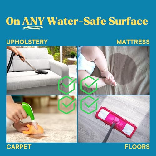Natural Odor and Stain Remover Spray - Unscented Plant-Based Child & Pet Safe Cleaner Earth-Friendly Odor Eliminator Eco Cleaning Products for Home, Carpet (1 Pack, 1 Gallon) - size: 128 Fl Oz (Pack of 1)