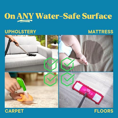 Natural Odor and Stain Remover Spray - Unscented Plant-Based Child & Pet Safe Cleaner Earth-Friendly Odor Eliminator Eco Cleaning Products for Home, Carpet (1 Pack, 1 Gallon) - size: 128 Fl Oz (Pack of 1)