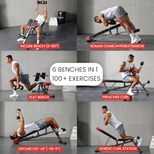 Finer Form Multi-Functional Adjustable FID Weight Bench and Roman Chair | 1,000 Lb Capacity, 23 Settings, Flat Incline Decline for Total Body Workouts, Transport Wheels, Exercise Chart Included