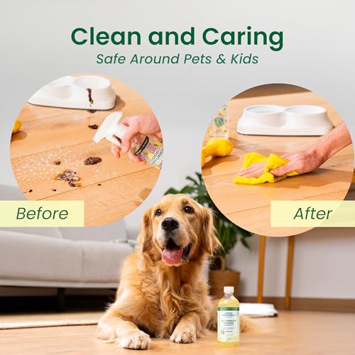 Good Natured Brand All-Purpose Cleaner Concentrate | Multi-Surface Cleaner | Natural Lemon Essential Oil | Multipurpose Cleaner Concentrate All Surfaces | Lemon Love | 16oz makes 256oz - size: 16 Fl Oz
