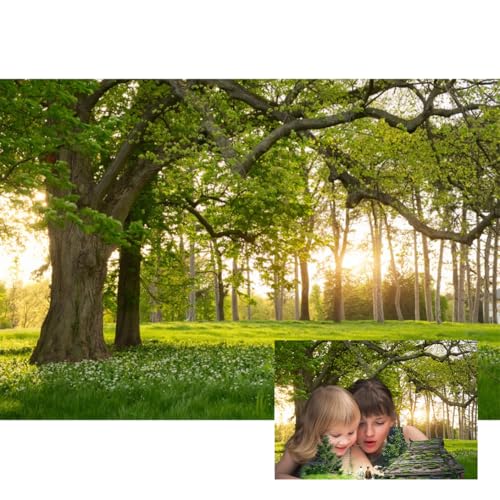 5x3ft Garden Spring Scenery Backdrop Rainforest Tropical Grassland Flowers in the Sunlight Nature Landscape Green Tree Photo Background for Camping Picnic Outdoor Party Bedroom Living Room - size: 5x3ft-polyester