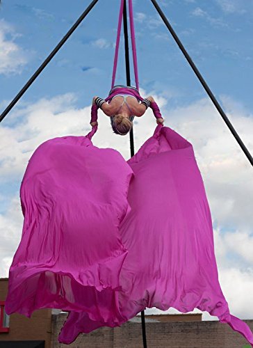 Durable Aerial Silks Starter Kit with 11-Yard Yoga Hammock & Hardware | Aerial Swing for Acrobatic Flying Yoga & All Levels, Aerial Rigging Point up to 14ft, Durable, Safe - color: Pink