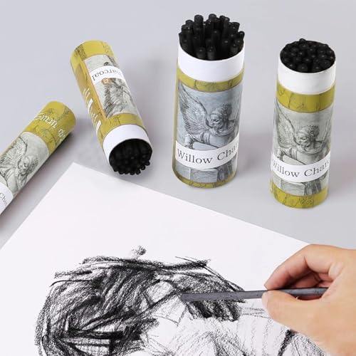100PCS/PACK Willow Charcoal Sticks - Natural Willow Charcoal for Artists, Beginners, or Students of All Skill Levels - Perfect for Drawing and Sketching - style: 2-4mm, 4-5mm, 5-7mm, 7-9mm