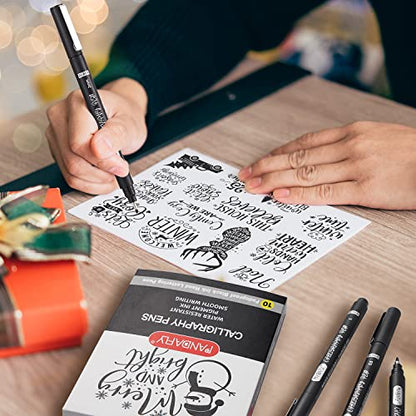 PANDAFLY Calligraphy Pens for Writing, 10 Size, Hand Lettering Pens | Brush Pens Calligraphy Set for Beginners, Calligraphy Brush Pens for Art Drawing, Sketching, Scrapbooking, Journaling