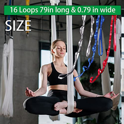 Aerial Yoga Hammock Daisy Chains Strap, Strong 22kN Adjustable with 10 Loops, No Stretch, Climbing Strap Nylon Chain Sling FOR Aerial Yoga,Swing, Hammock, Suspension, Exercise - color: Purple, size: 79"×0.79"