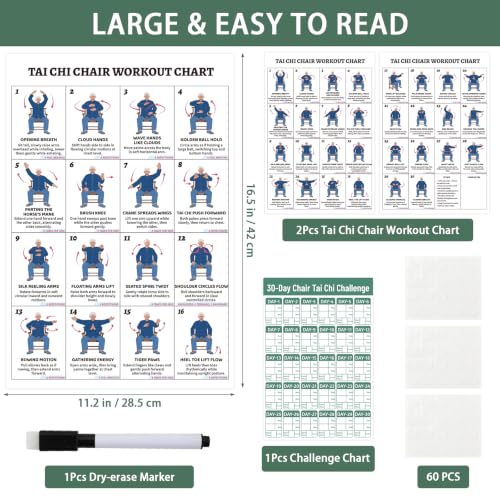 YGEINIT Tai Chi Chair Workout Chart for Beginners & Seniors