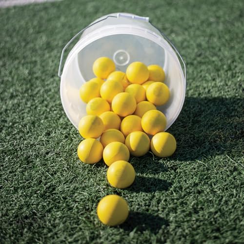 Gladiator Lacrosse Official Lacrosse Game Balls