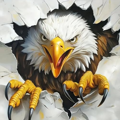 Reluohuo Eagle Diamond Art Kit for Adult Full Drill Diamond Painting Kit | Diamond Art Kit for Beginner Round Full Drill Acrylic, DIY Art Craft for Wall Decor Holiday Gifts 12x12 Inch - color: Eagle