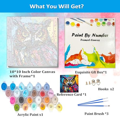 Artunion Framed Paint by Numbers Kit for Adults Beginners & Kids Ages 8-12,Colorful Owl Paint by Number with Frame,Animal Watercolor Paint by Numbers Kit on Canvas 10 * 10 Inch Without Easel - color: ZXT-388-F