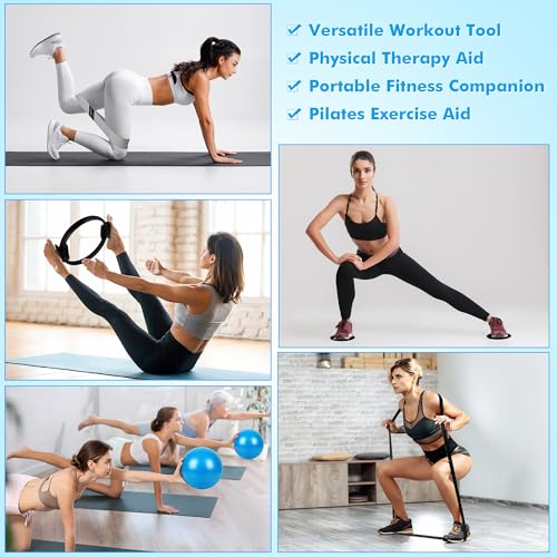 Goocrun Pilates Ring Set Exercise Equipment, with Exercise Resistance Bands Set, Pilates Ball, Sliding Disks. Portable Home Gym - with Fitness Guide Poster - color: Black, size: Mid-level