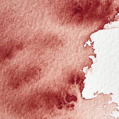 Winsor & Newton Professional Watercolor, 5ml Tube, Brown Madder | Unrivalled Transparency, Single Pigment Vibrant Colors, Archival Permanence, Heritage Watercolors, Finest Pigments - color: Brown Madder, style: 0.17-oz Tube