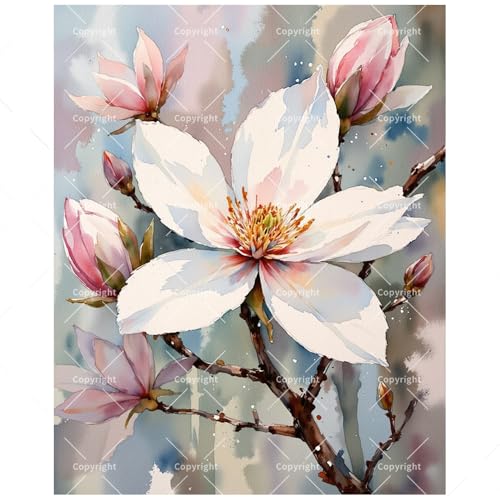 Floral Art Paint by Numbers Kit for Adults - DIY White Magnolia Blossom Painting on Canvas 16x20 Inches, Acrylic Paint Set, Suitable for Beginners, Art for Home Decoration or Gifts - color: HSX00101, size: 16X20IN Folded