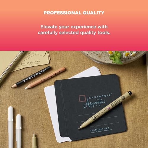 SAKURA 50008 Zentangle Apprentice Classroom Pack #2, Black | All-in-One Kit for Drawing, Relaxing, Meditative Patterns, Includes Gelly Roll and Micron Pens, White Pencil and Black Tiles - size: Apprentice Classroom Pack #2