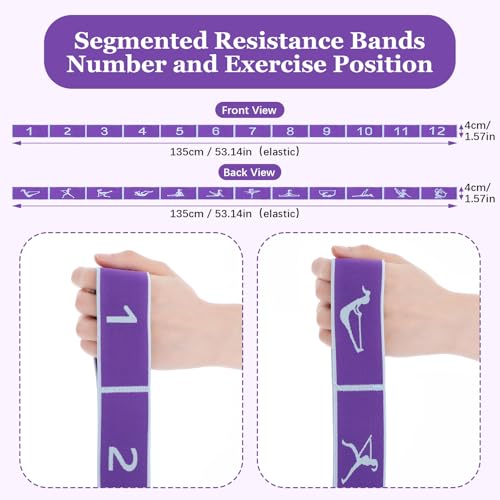 Yoga Straps for Stretching, Elastic Bands for Exercise 12 Gears | Stretch Band with Loops, for Pilates, Yoga, Ballet, Gymnastics, for Women Men