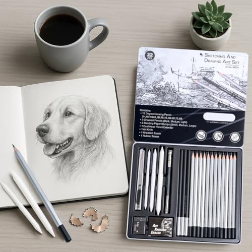 Drawing Sketching Pencil Set, 22 PCS Graphite and Charcoal Pencils with Blending Stumps, Erasers, Art Knife & Pencil Extender in Metal Box, Artist Sketching Supplies for Drawing & Shading (22 Pcs) - style: 22 Pcs