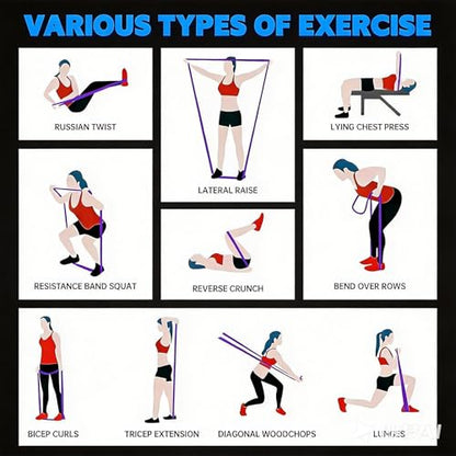 Resistance Bands for Working Out, 5 Levels Pull Up Assistance Bands | Exercise Band with Door Anchor, Body Training, Physical Therapy, Stretch Workout, 5-125 LBS for Men Women, Home Gym Travel