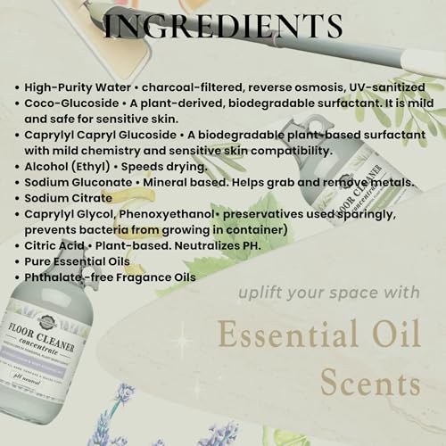 Rustic Strength Floor Cleaner Concentrate, Unscented, 16 oz