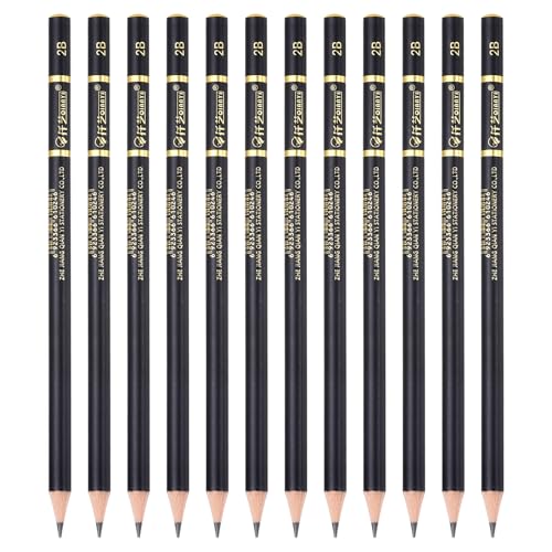 PATIKIL 12Pcs Drawing Pencils for Sketching, 2B Refill Sketch Pencils for Drawing, Graphite Art Pencil Set Professional Resistant Lead for Painting Shading Artist Office Supplies - size: 2B