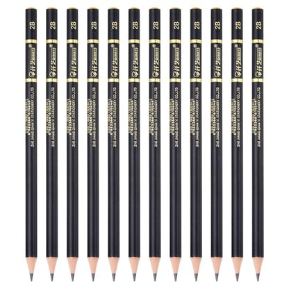 PATIKIL 12Pcs Drawing Pencils for Sketching, 2B Refill Sketch Pencils for Drawing, Graphite Art Pencil Set Professional Resistant Lead for Painting Shading Artist Office Supplies - size: 2B