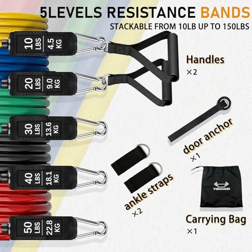 Resistance Bands with Handles, Exercise Bands for Men & Women