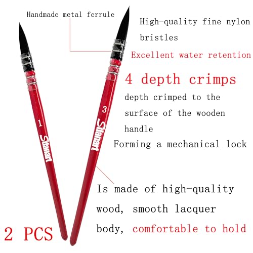 Sdanart Professional Watercolor Paint Brushes，High Performance Paintbrush | 2 PCS Mop Round Fine Tip Detail Brushes for Acrylic Painting,Watercolor,Oil，Inks，Gouache，Crafts,Artists，Beginners