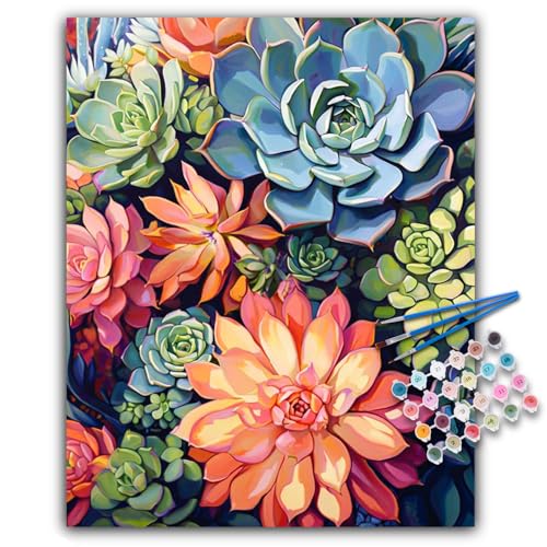 Paint by Numbers Kit for Adults, Succulents DIY Acrylic Canvas Painting Set | 16x20 Inch, Number Painting Craft Kit for Adults, Perfect for Beginners, Home Wall Decor, Stress Relief Relaxing Hobby Gift - color: BOP1PNP13