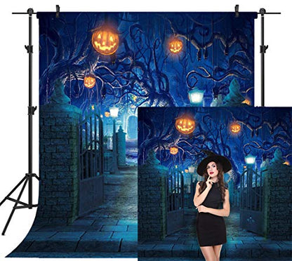 10X10FT Halloween Theme Pictorial Cloth Customized Photography Backdrop Background Studio Prop TP263C - size: 10X10FT