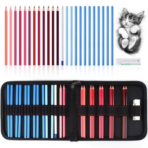 Professional Drawing Set,12 Colored Pencils,12 Graphite Pencils,Eraser,Case | Portable Travel Colored Pencil Case,Sketching Shading Blending Art Supplies,Gifts for Artists Adults Beginners.Red Black - color: Set-Red